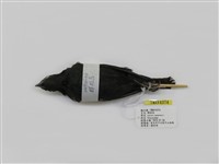 藏品(輝椋鳥)的圖片